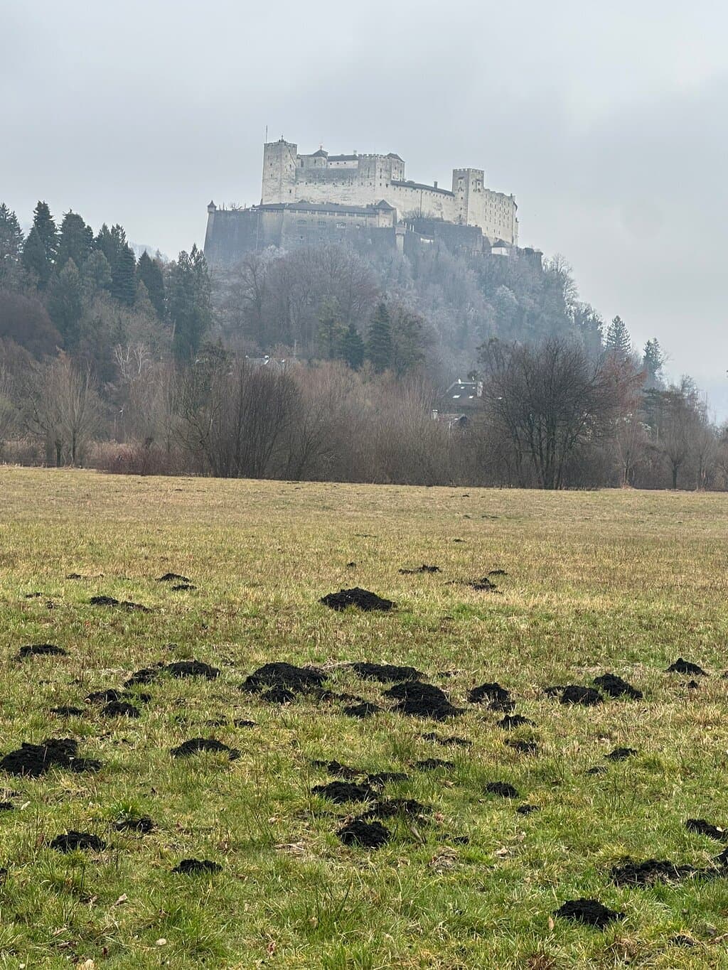 Schloss Leopoldskron